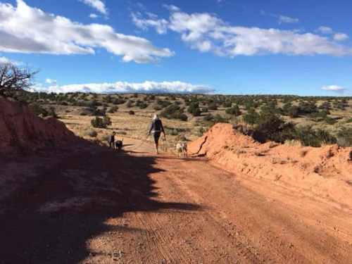 A person walks two dogs along a dirt path in a desert landscape under a blue sky with scattered clouds.