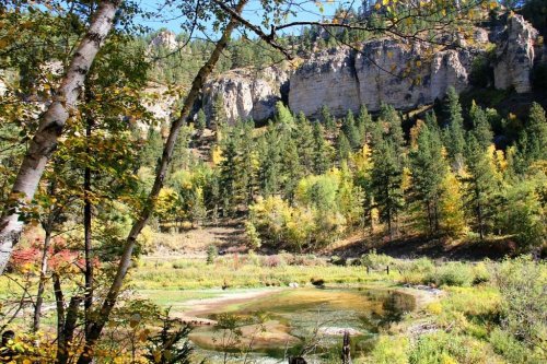 A serene landscape featuring a pond surrounded by trees and rocky cliffs under a clear blue sky.