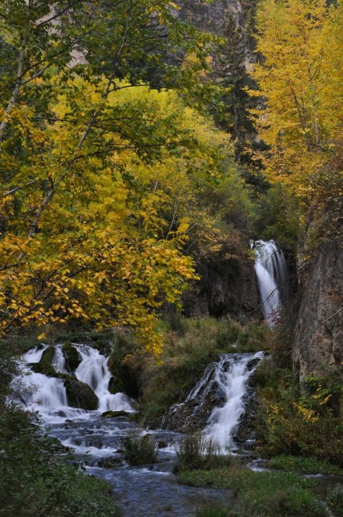 A serene landscape featuring cascading waterfalls surrounded by vibrant autumn foliage.