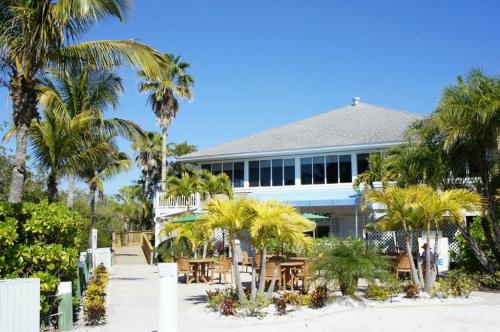 A tropical restaurant surrounded by palm trees and greenery, featuring outdoor seating and a bright blue sky.