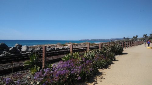 A scenic coastal path lined with flowers, rocks, and ocean views under a clear blue sky.