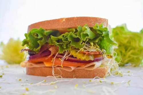 A fresh sandwich layered with lettuce, sprouts, cheese, and turkey on whole grain bread, surrounded by greens.