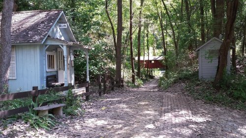 A serene path through trees, leading to a blue cabin and a small shed, surrounded by greenery and fallen leaves.