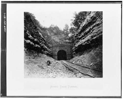 Black and white photo of a railway tunnel surrounded by rocky terrain and trees. Text below reads "Board Tree Tunnel."
