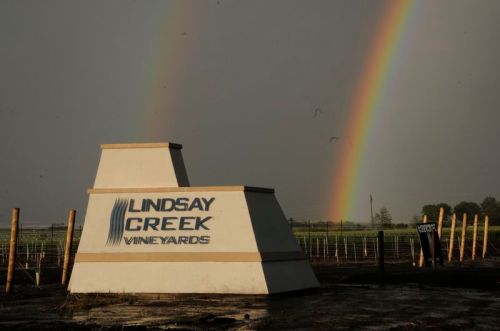 Sign for Lindsay Creek Vineyards with a double rainbow in the background and vineyard rows visible.