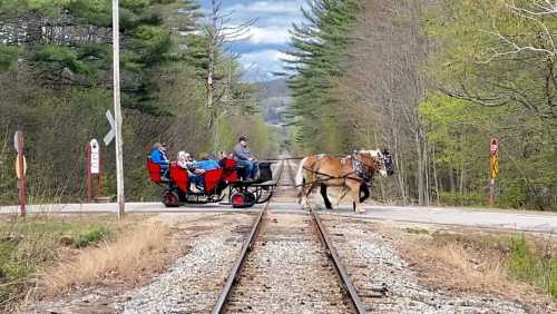 A horse-drawn carriage crosses a railway track with passengers enjoying a scenic ride through a wooded area.