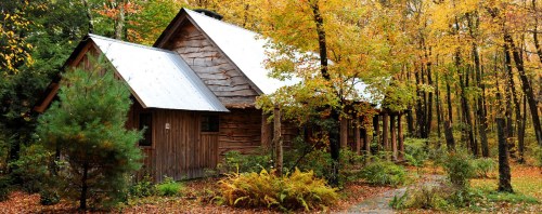 A cozy wooden cabin surrounded by vibrant autumn foliage and trees, with fallen leaves covering the ground.