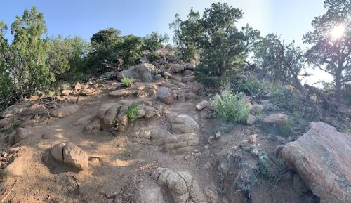 Rocky hillside with sparse vegetation and trees under a clear blue sky. Sunlight peeks through the foliage.