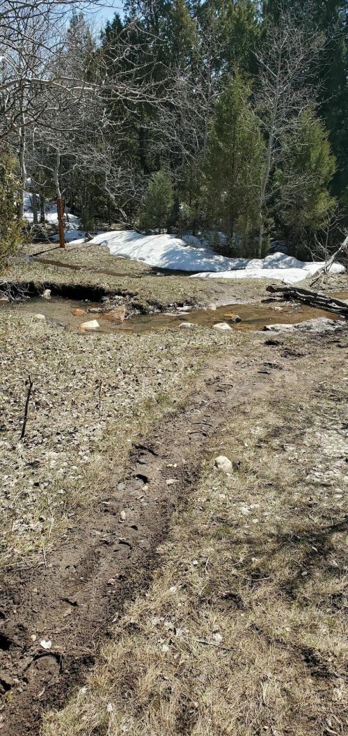 A grassy path leads to a small stream, with patches of snow and trees in the background on a sunny day.