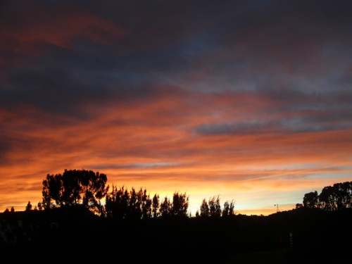 A vibrant sunset with orange and purple hues, silhouetted trees in the foreground against a dramatic sky.