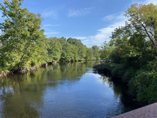 A serene river surrounded by lush green trees under a clear blue sky. Reflections shimmer on the water's surface.