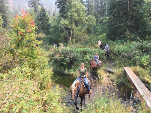A group of people riding horses through a lush, green forest with a small stream and wooden bridge.