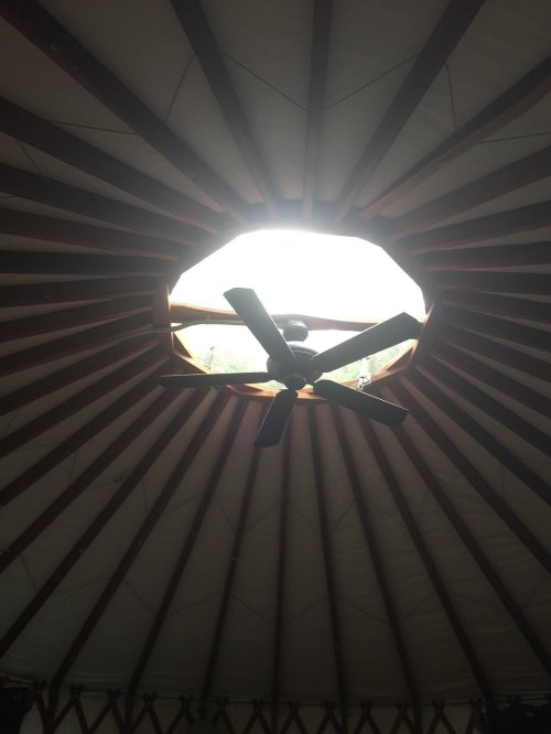 View of a circular skylight and ceiling fan inside a yurt, with wooden beams radiating outward.