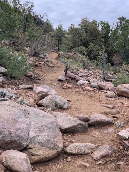 A rocky trail winds through a forested area with scattered trees and shrubs under a cloudy sky.