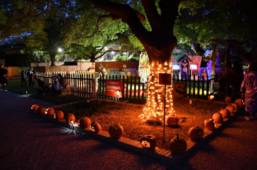 A festive Halloween scene with a tree wrapped in lights, pumpkins lining a path, and decorations in a yard.