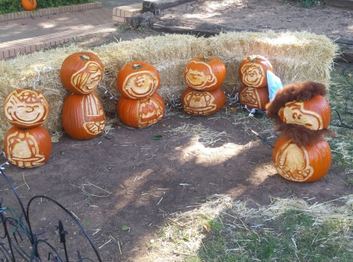 A display of carved pumpkins featuring characters from a cartoon, arranged on hay in a festive outdoor setting.