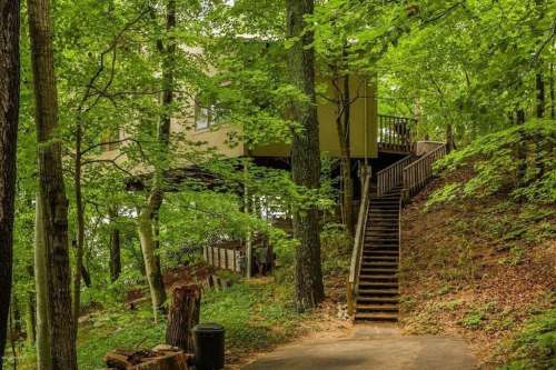 A modern house elevated on stilts, surrounded by lush green trees and a winding path leading up to it.