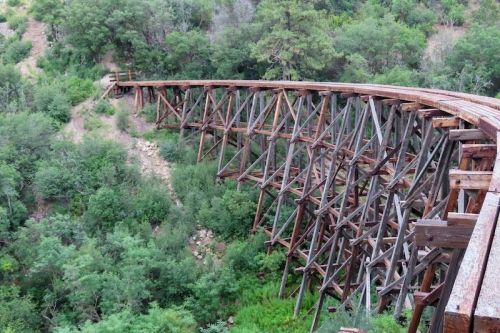 A curved wooden trestle bridge surrounded by lush greenery and trees.
