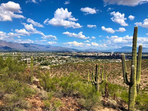 A scenic view of a desert landscape with cacti, mountains, and a city skyline under a blue sky with fluffy clouds.