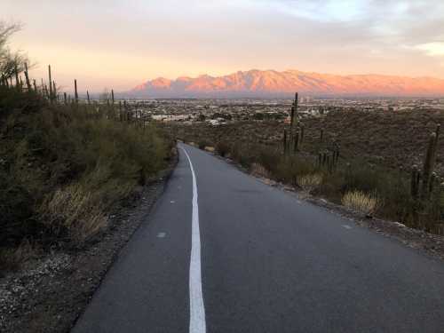 A winding road leads down a hillside with cacti, overlooking a valley and mountains at sunset.