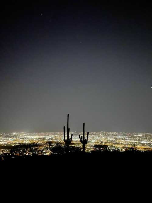 Silhouette of cacti against a city skyline at night, with twinkling lights in the background.