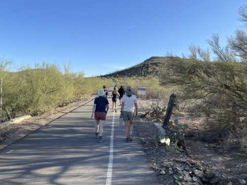 A group of hikers walking on a trail surrounded by desert vegetation and mountains under a clear blue sky.