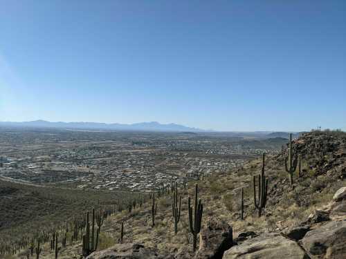 A panoramic view of a desert landscape with cacti, mountains in the distance, and a clear blue sky.