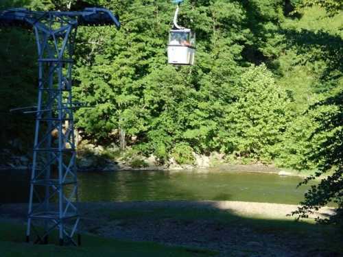 A cable car glides over a river surrounded by lush green trees.