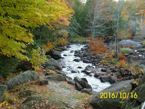 A serene river flows through a forest with autumn foliage, featuring rocks and colorful leaves along the banks.