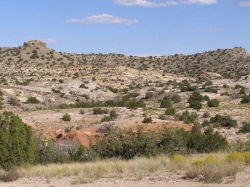 A rugged desert landscape with rolling hills, sparse vegetation, and a clear blue sky.