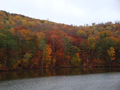 Vibrant autumn foliage reflects on a calm lake, surrounded by a colorful forest of red, orange, and green trees.