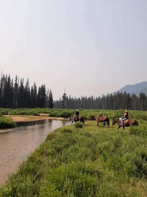 Two people on horseback near a river, surrounded by lush greenery and tall trees under a hazy sky.