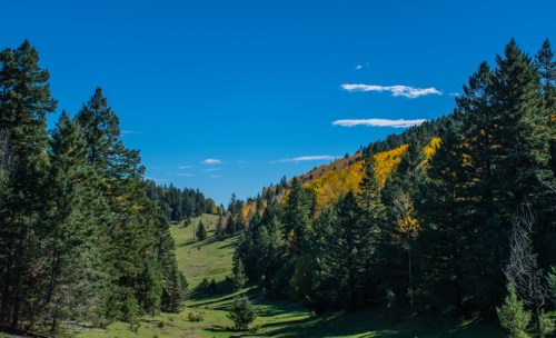 A scenic view of a green valley surrounded by tall trees and colorful autumn foliage under a clear blue sky.