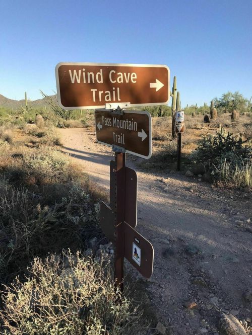 A trail sign directing to Wind Cave Trail and Pass Mountain Trail in a desert landscape with cacti.