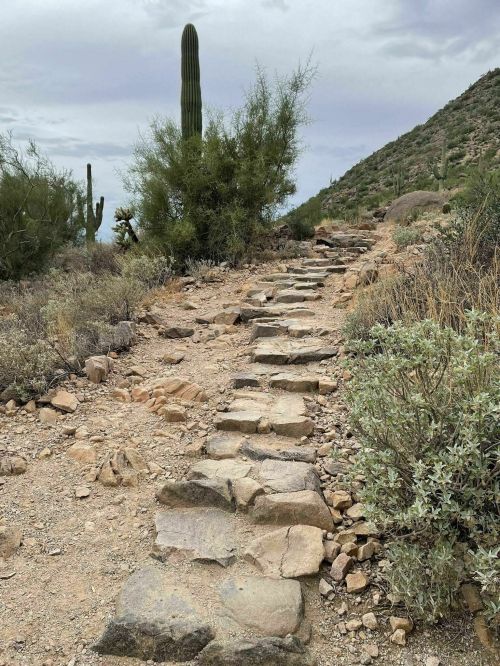 A rocky path leads through a desert landscape with cacti and shrubs under a cloudy sky.