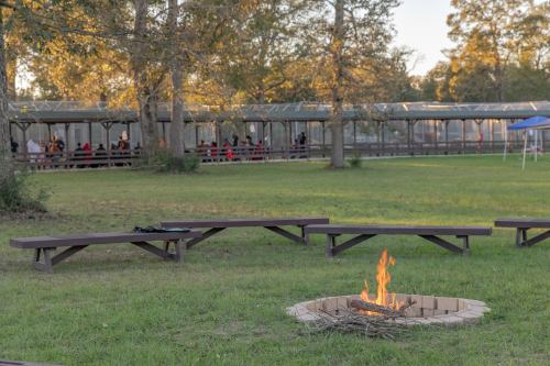 A campfire surrounded by benches in a grassy area, with a building and people in the background under a clear sky.
