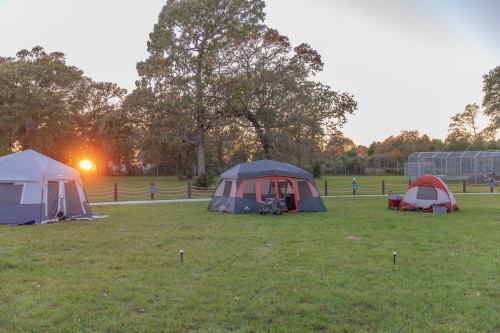 Tents set up on a grassy field at sunset, with trees and a sports field in the background.