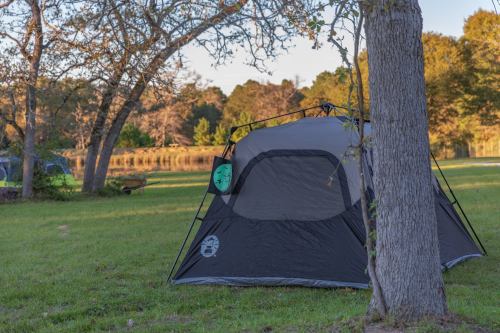 A black tent set up on green grass near a tree, with a peaceful landscape of trees and a pond in the background.