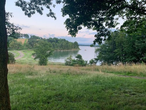 A serene lakeside view with lush greenery and a calm water surface under a soft, cloudy sky.