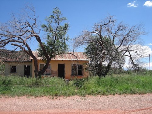 Abandoned house surrounded by overgrown grass and leafless trees under a blue sky with scattered clouds.