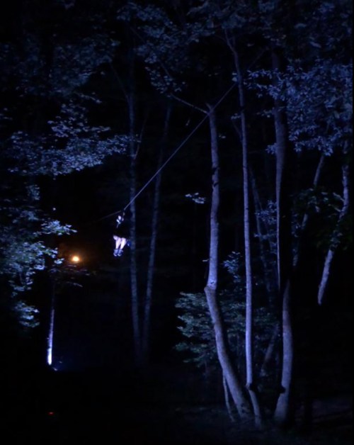 A figure hangs from a rope in a dark forest, illuminated by faint light from a distant source.