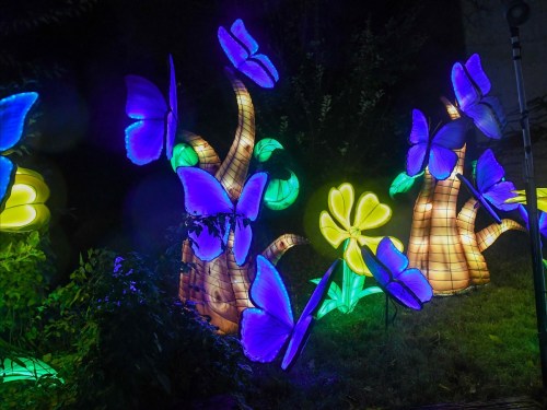 Colorful illuminated butterflies and flowers in a garden setting, creating a vibrant and enchanting atmosphere.