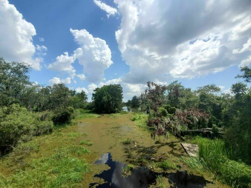 Lush green landscape with water, trees, and a bright blue sky filled with fluffy clouds.