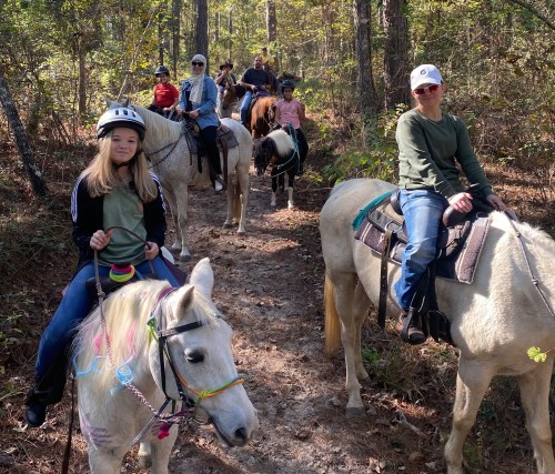 A group of people riding horses on a wooded trail, enjoying a sunny day outdoors.