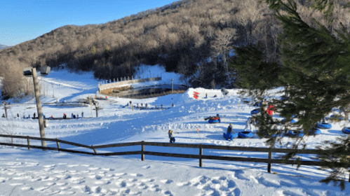 A snowy landscape with people tubing down a hill, surrounded by trees and a clear blue sky.
