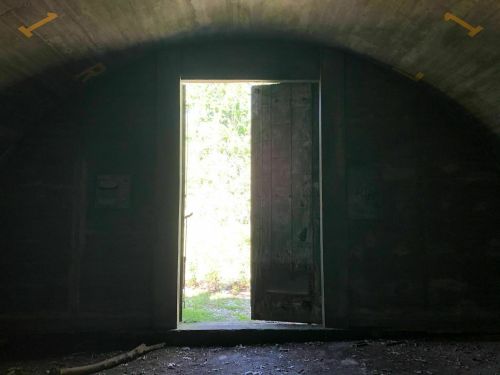 A dimly lit room with an open door, revealing bright light and greenery outside.