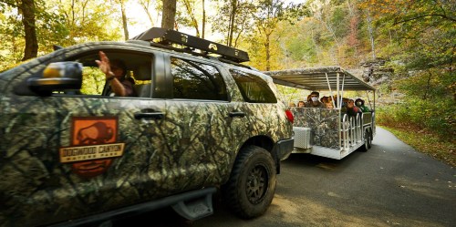 A camouflaged vehicle and a tour cart drive along a scenic forested road, with passengers enjoying the ride.