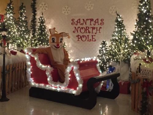A festive scene featuring a reindeer mascot sitting in a decorated sleigh with Christmas trees and lights in the background.