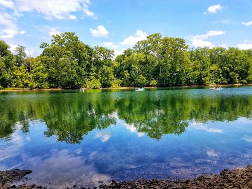 A serene lake surrounded by lush green trees, reflecting the blue sky and clouds on its calm surface.