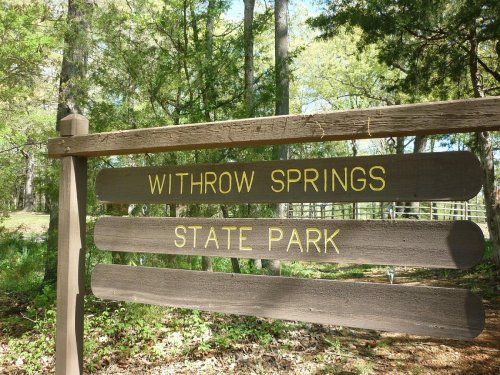 Sign for Withrow Springs State Park surrounded by lush greenery and trees.